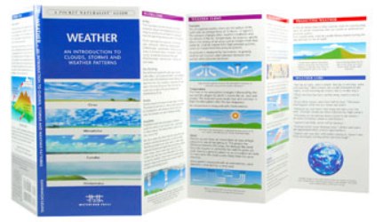 Pocket Naturalist: Weather